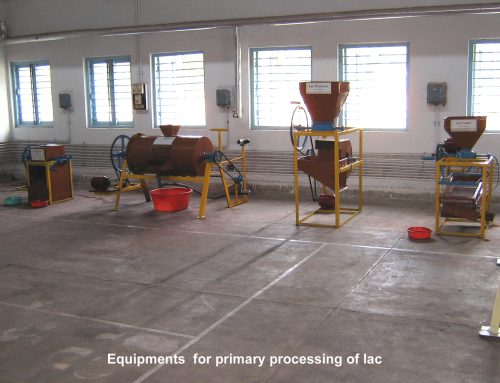 Site of NISA to be launched soon..